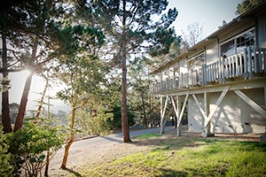 View of building and trees outside of Cypress Ridge